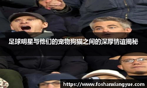 足球明星与他们的宠物狗猫之间的深厚情谊揭秘