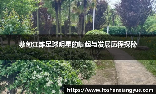 蔡甸江滩足球明星的崛起与发展历程探秘